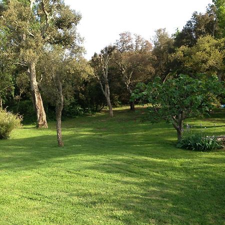 Les Gites du Merle Cogolin Extérieur photo