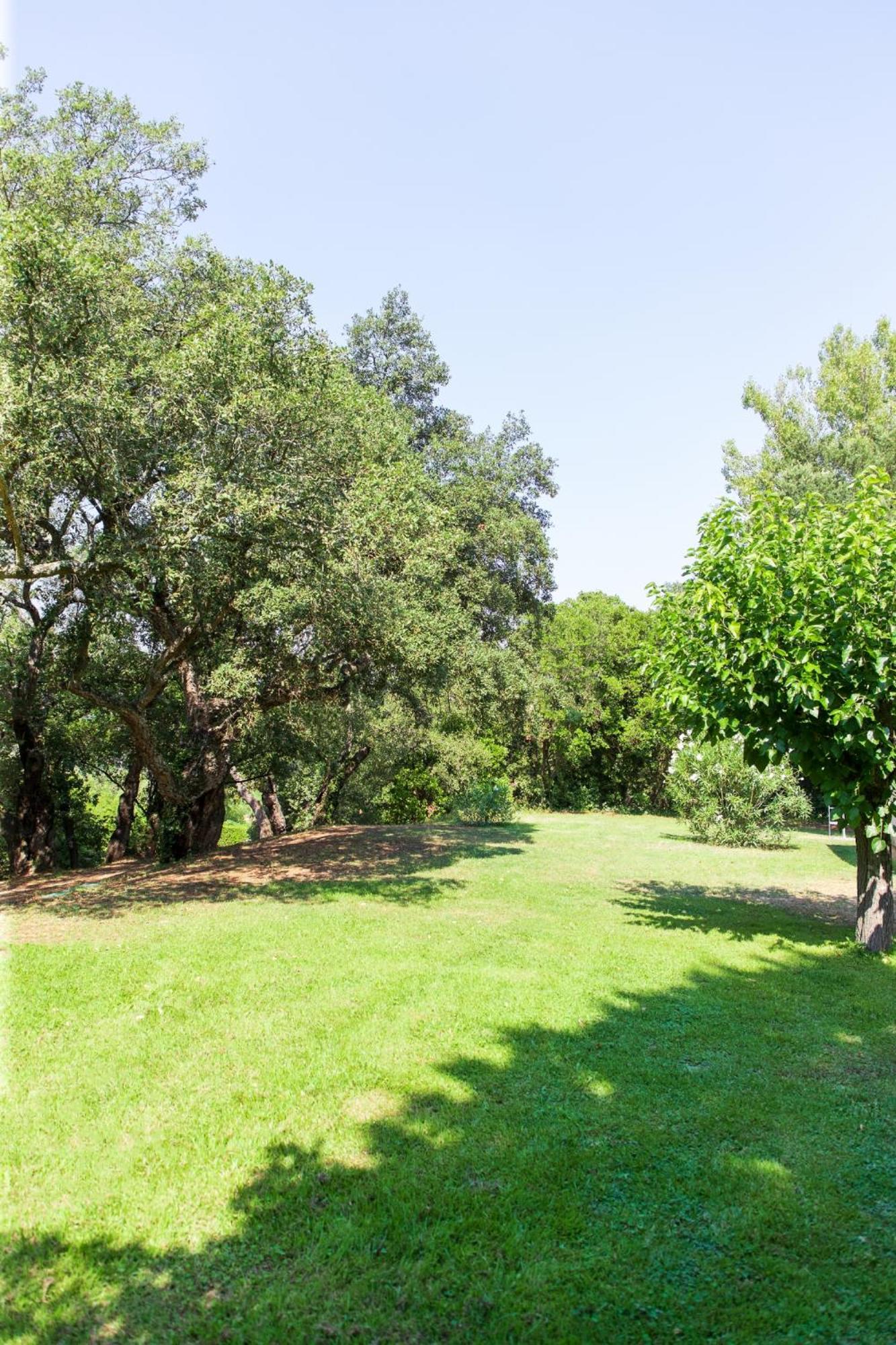 Les Gites du Merle Cogolin Extérieur photo